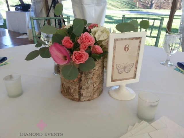 Centerpiece in birch wood containers
