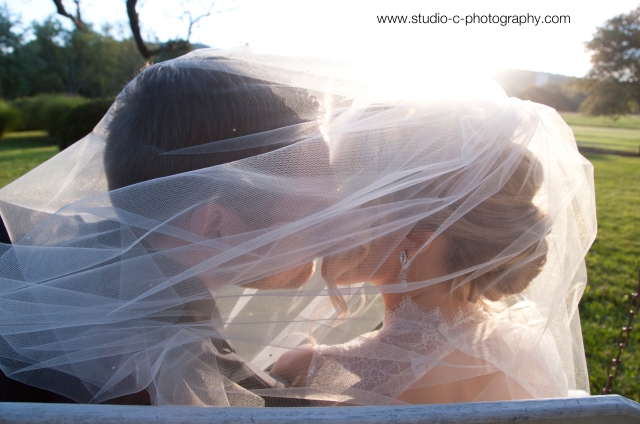 Kissing under veil picture